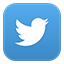 Twitter social media logo