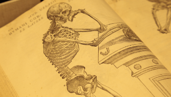 A photo of a skeleton in a book