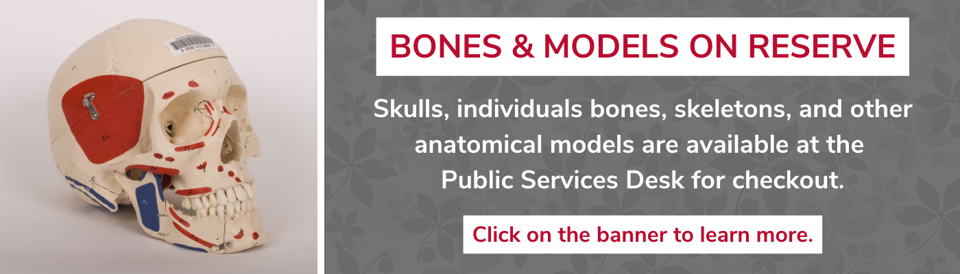 HSL Bones and Models on Reserve