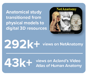 An image showing anatomical study metrics