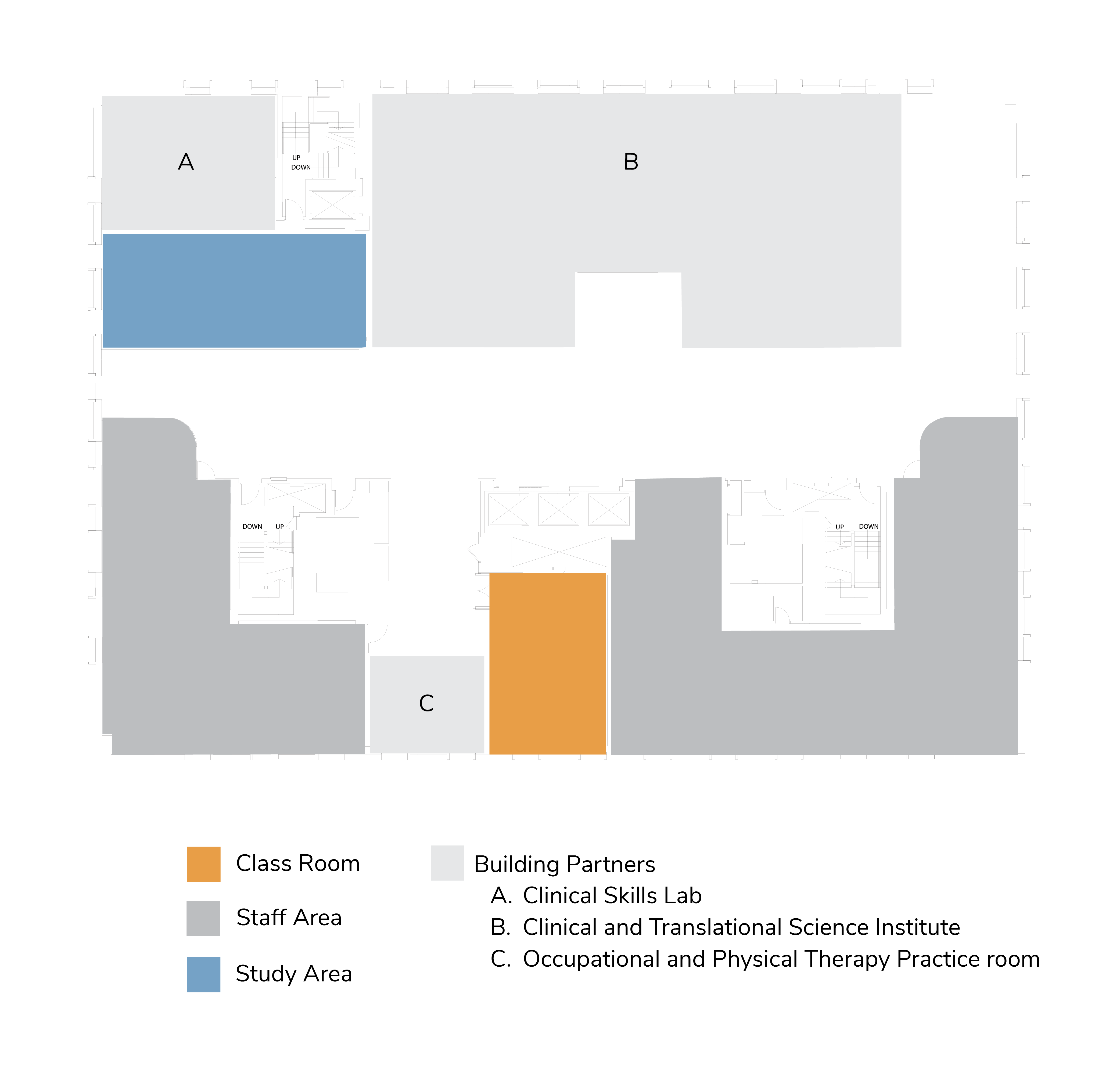 Second floor, including classrooms, study areas, clinical skills lab, the Clinical and Translational Science Institute and OT and PT practice room.