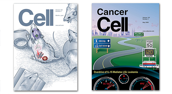 Cover Art illustration examples