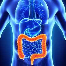 Drawing from MedlinePlus's Colorectal Cancer page of a human abdomen - highlighting the intestines, colon and rectum.