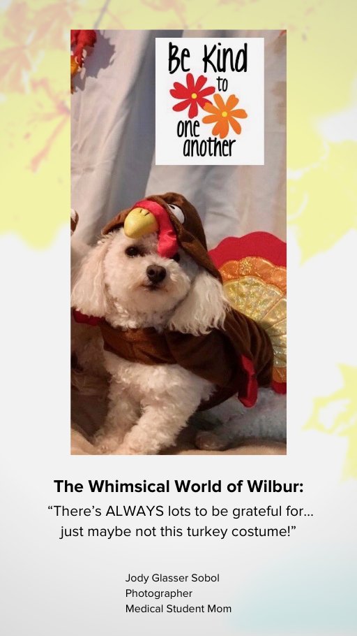The Whimsical World of Wilbur