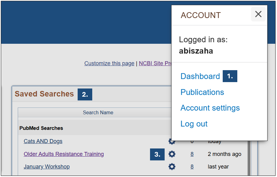 Screenshot of saved searches in PubMed.