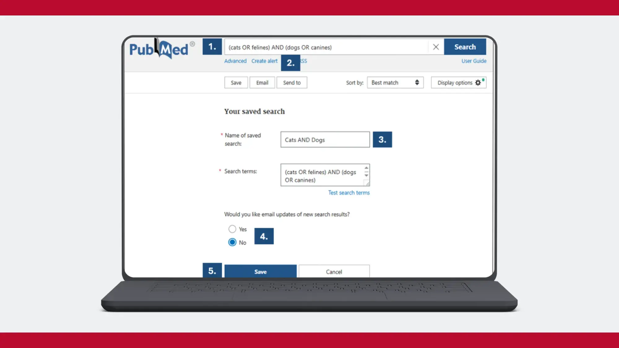 Laptop showing PubMed's saved search page.