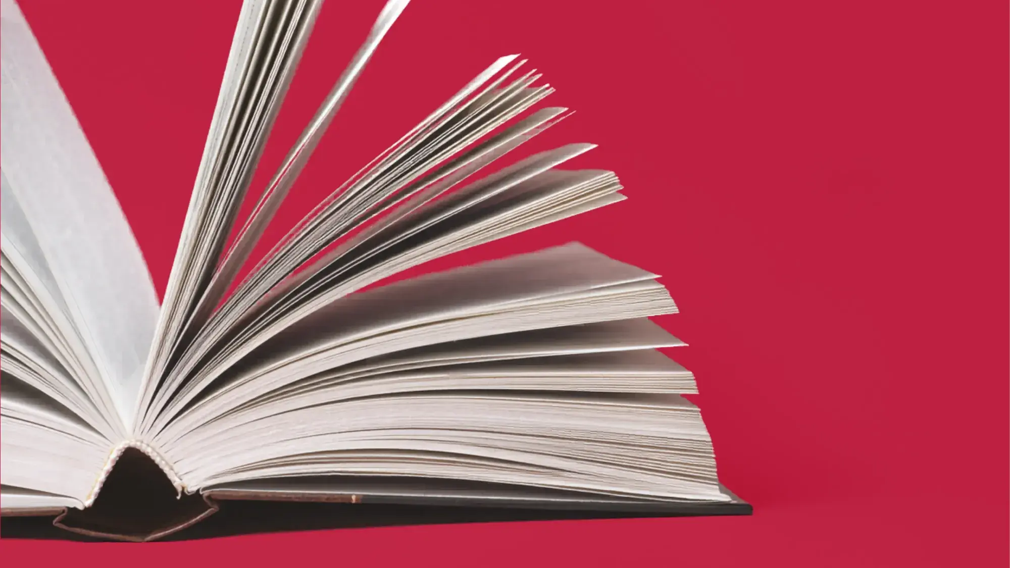 Open book on plain background.