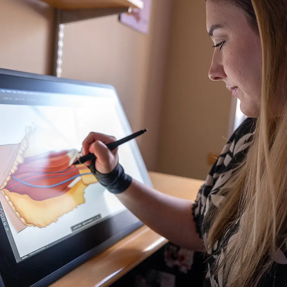 Woman drawing medical illustrations