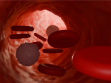 Illustration of a blood vessel interior, showing red blood cells and spiky white blood cells traveling through a tubular, red-toned environment.