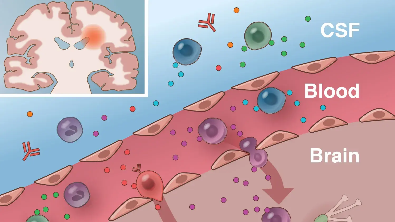 Illustration of a scholarly publication example.